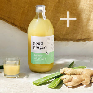 
                  
                    Bio Ingwer Aloe Vera  - 500ml
                  
                